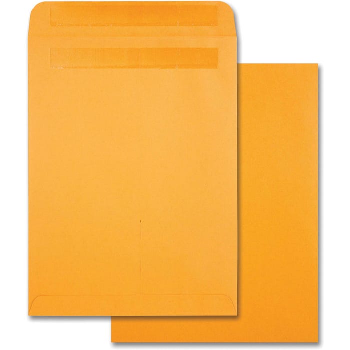 Quality Park High Bulk Self-Seal Envelope, 9 x 12 Inches, Kraft, Box of 100