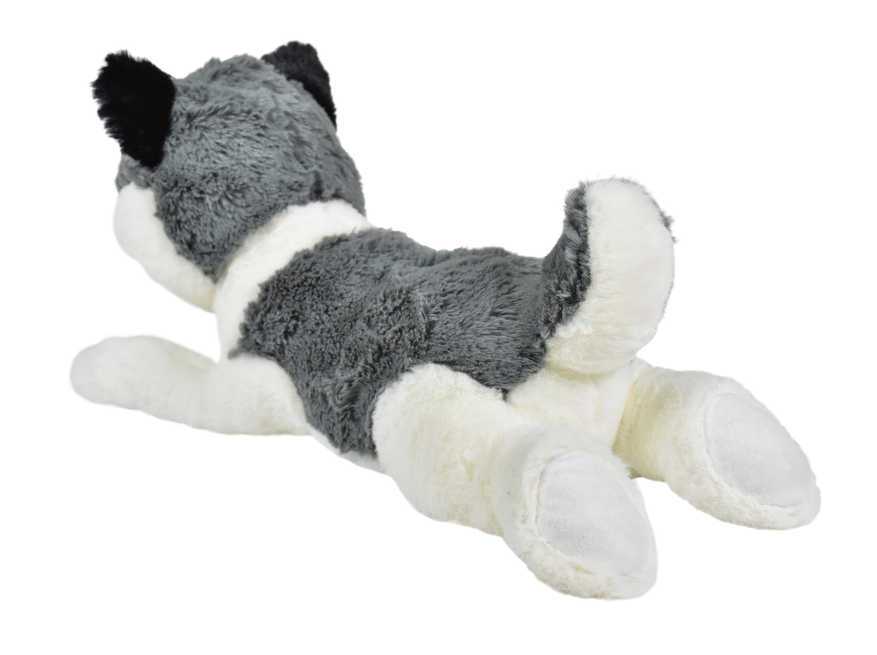 ANGLEIMAGES_FULLIMAGE