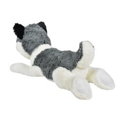 ANGLEIMAGES_FULLIMAGE