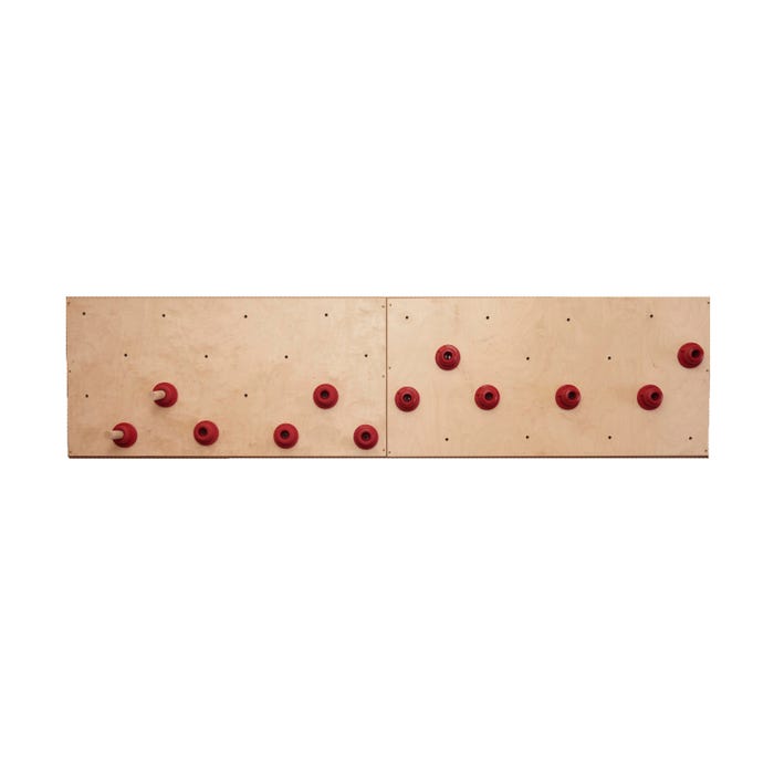 Everlast Climbing Peg Board, 2 x 8 Feet