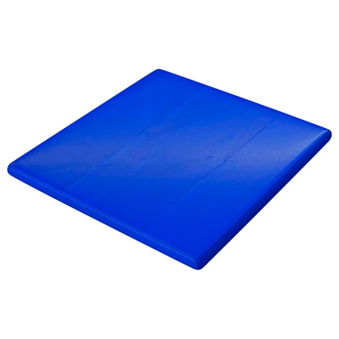 Whitney Brothers Soft Blue Floor Mat for Privacy Play House Cube, 28-3/4 x 27-1/2 x 1 Inches, Royal Blue