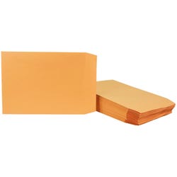 School Smart Grip Seal Envelopes, 9 x 12 Inches, Kraft, Pack of 100 2013913
