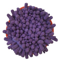 ANGLEIMAGES_FULLIMAGE