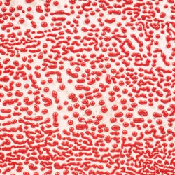 Image for AMACO Crawls Glaze, Pint, CR-58 Red from School Specialty