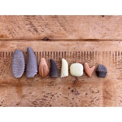 ANGLEIMAGES_FULLIMAGE