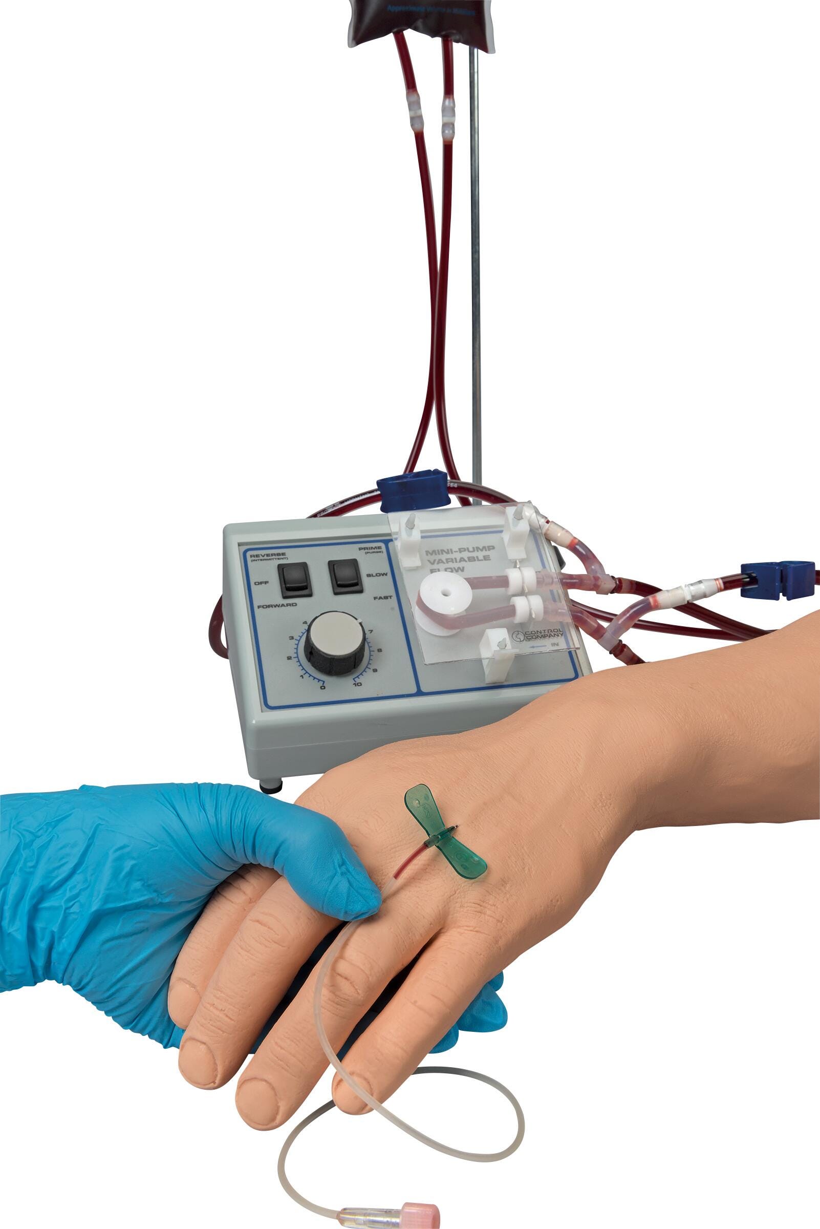 Life/form Advanced Venipuncture and Injection Arm with IV Arm Circulation Pump, Light