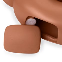 ANGLEIMAGES_FULLIMAGE