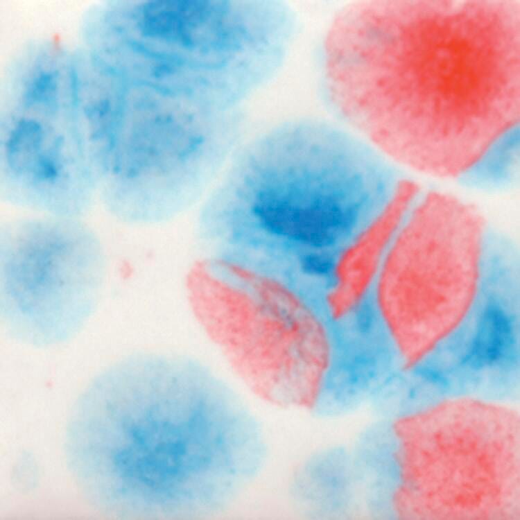 Sax Crystal Magic Glaze, Kaboom, 1 Pint 411080