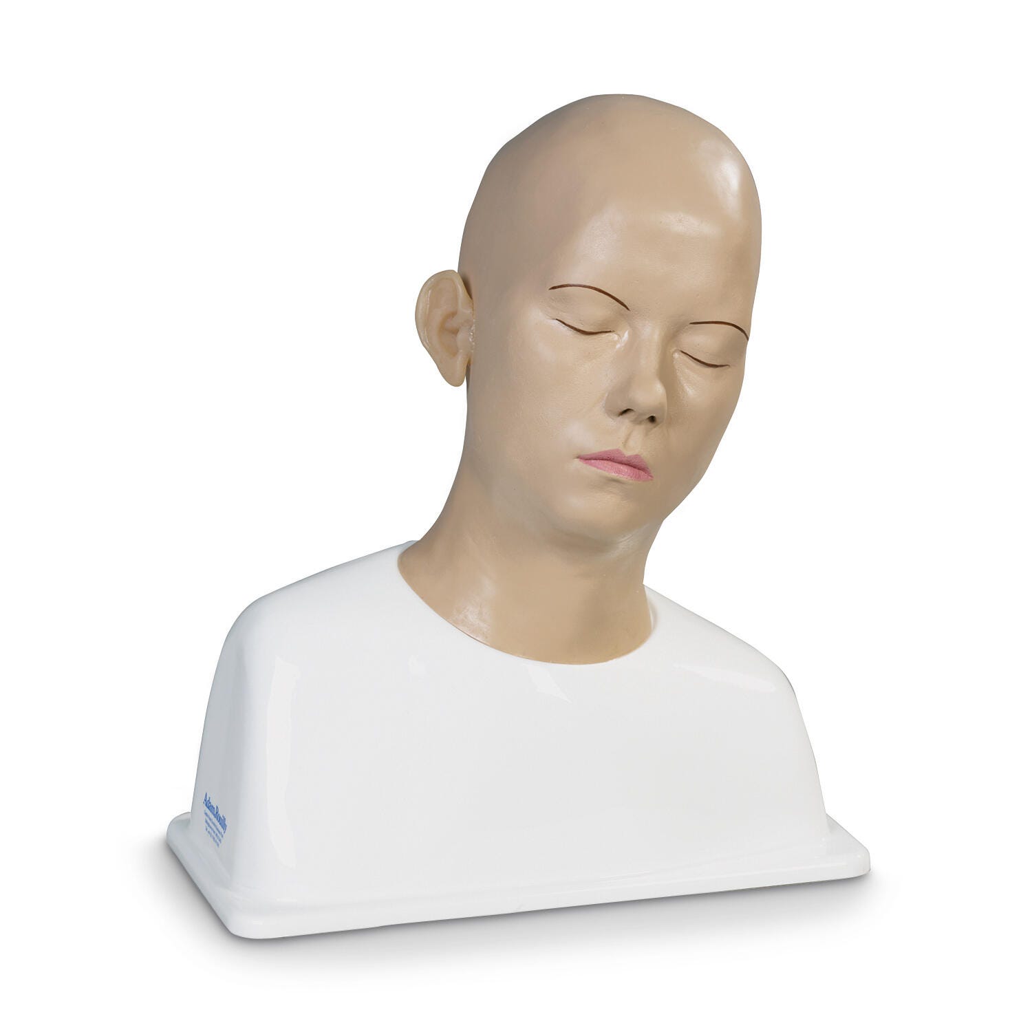 Image for Ear Syringing Trainer from School Specialty