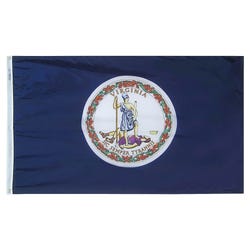 Annin Nylon Virginia Heavy Weight Outdoor State Flag, 4 X 6 ft, Item Number 017385