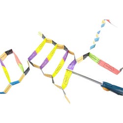 NewPath Learning Gene Cloning 3-D Model Making Kit