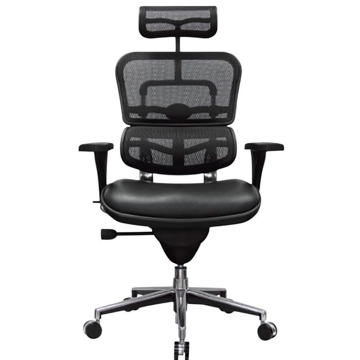 Eurotech Ergohuman High Back Task Chair with Headrest Leather Seat/Mesh Back, 26-1/2 x 29 x 52 Inches, Black
