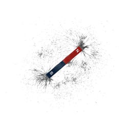 Science Painted Steel Bar Magnets - Red and Blue, Item Number 568406