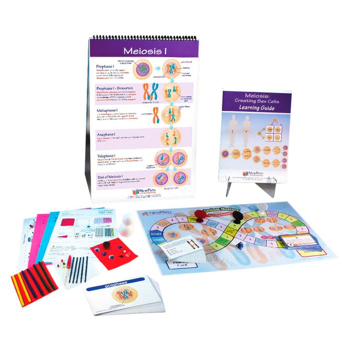 NewPath Learning Meiosis Curriculum Learning Module