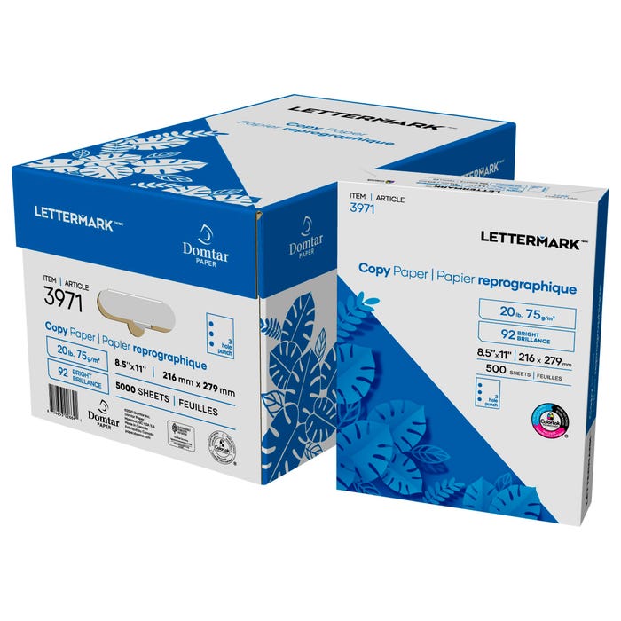 Lettermark 3-Hole Punched Copy Paper, 8-1/2 x 11 Inches, White, 5000 Sheets