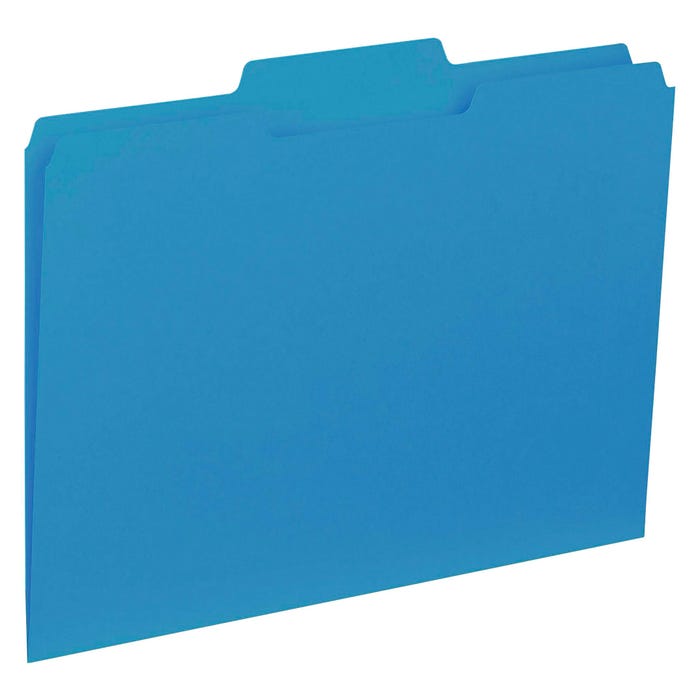 Business Source Interior File Folder, Letter Size, 1/3 Cut Tabs, Blue, Pack of 100