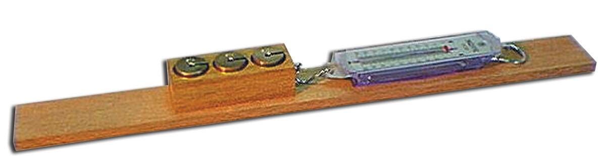 Frey Scientific Frictional Apparatus, Item Number 578524