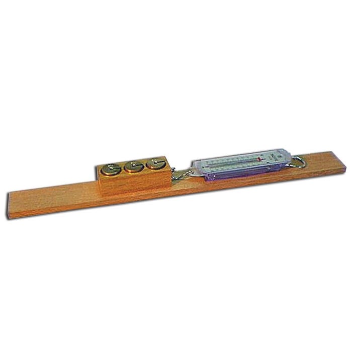 Frey Scientific Frictional Apparatus, Item Number 578524