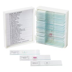 United Scientific Economy Basic Prepared Slides, Set of 25