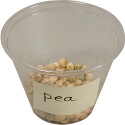 Delta Education Pea Seeds, Pack of 100
