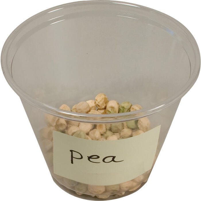 Delta Education Pea Seeds, Pack of 100
