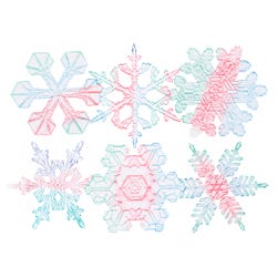 ANGLEIMAGES_FULLIMAGE