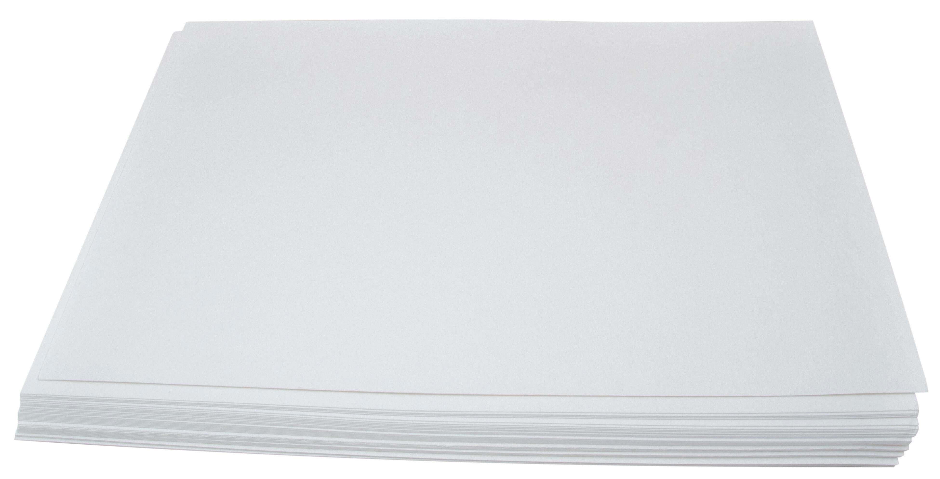 Plant Preservation, Item Number 580735