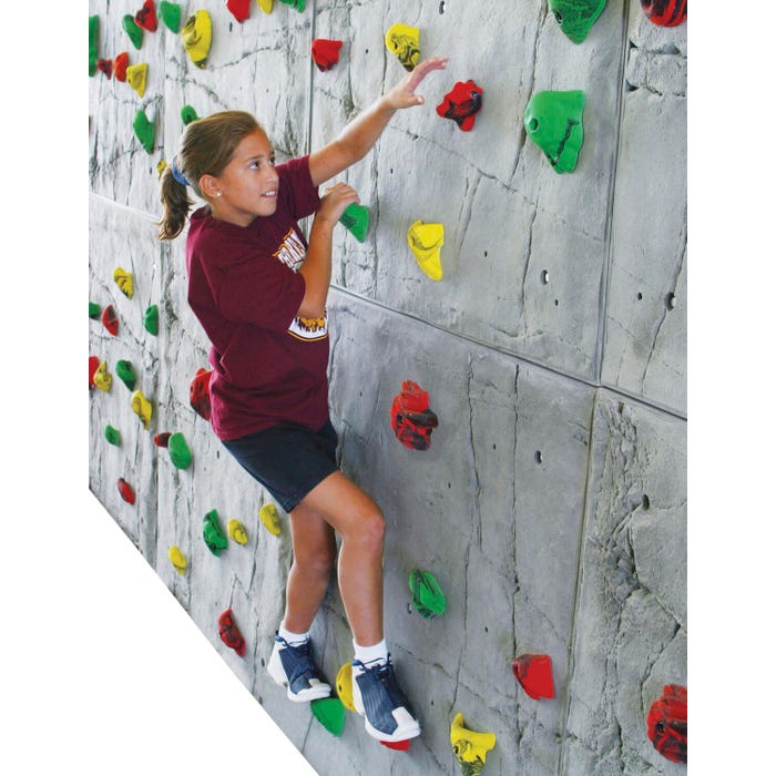 Everlast RockRealistik Traversing Wall System with 80 Holds, 8 x 20 Feet