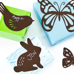 ANGLEIMAGES_FULLIMAGE