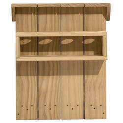 ANGLEIMAGES_FULLIMAGE