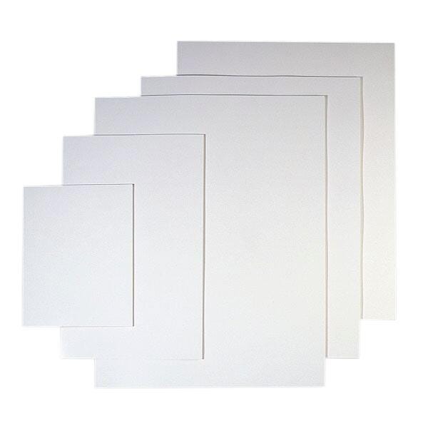 Nasco Thrifty Buy Poster Board Special, 23 x 29 Inches, 12 pt, Pack of 100