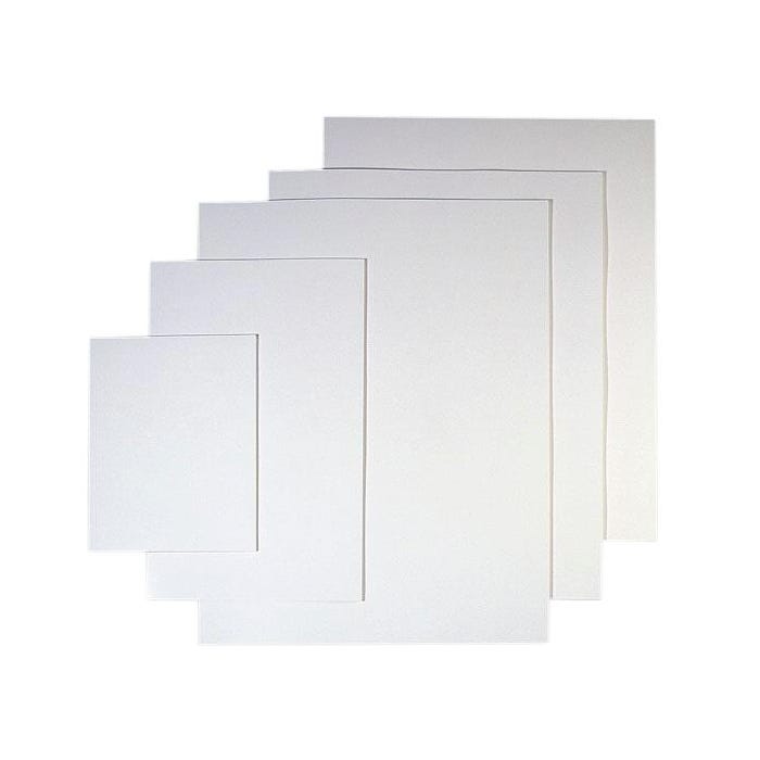 Nasco Thrifty Buy Poster Board Special, 23 x 29 Inches, 12 pt, Pack of 100