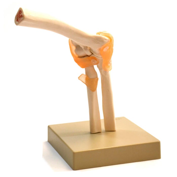 EISCO Elbow Joint Model