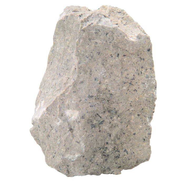 Geoscience Andesite Hornblende Phenocrysts, Hand Sample