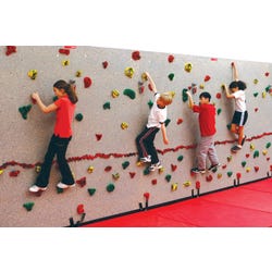 Upper Body Climbing Equipment, Item Number 2041327