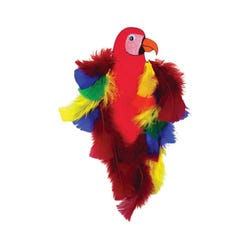 ANGLEIMAGES_FULLIMAGE