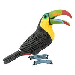 ANGLEIMAGES_FULLIMAGE