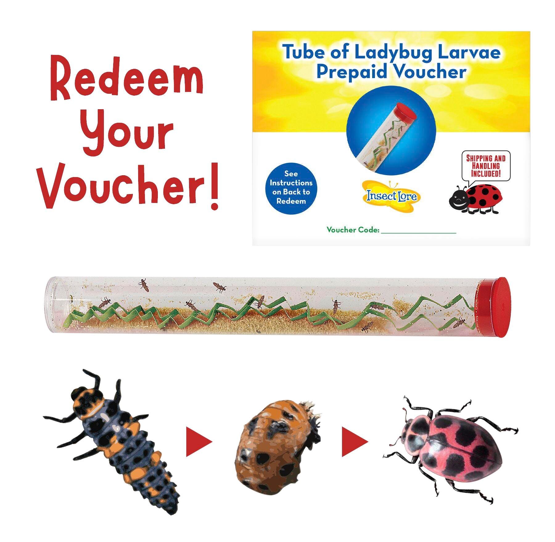 Ladybug Larvae Prepaid Voucher 2147332