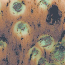 Glazes and Ceramics, Item Number 1432950