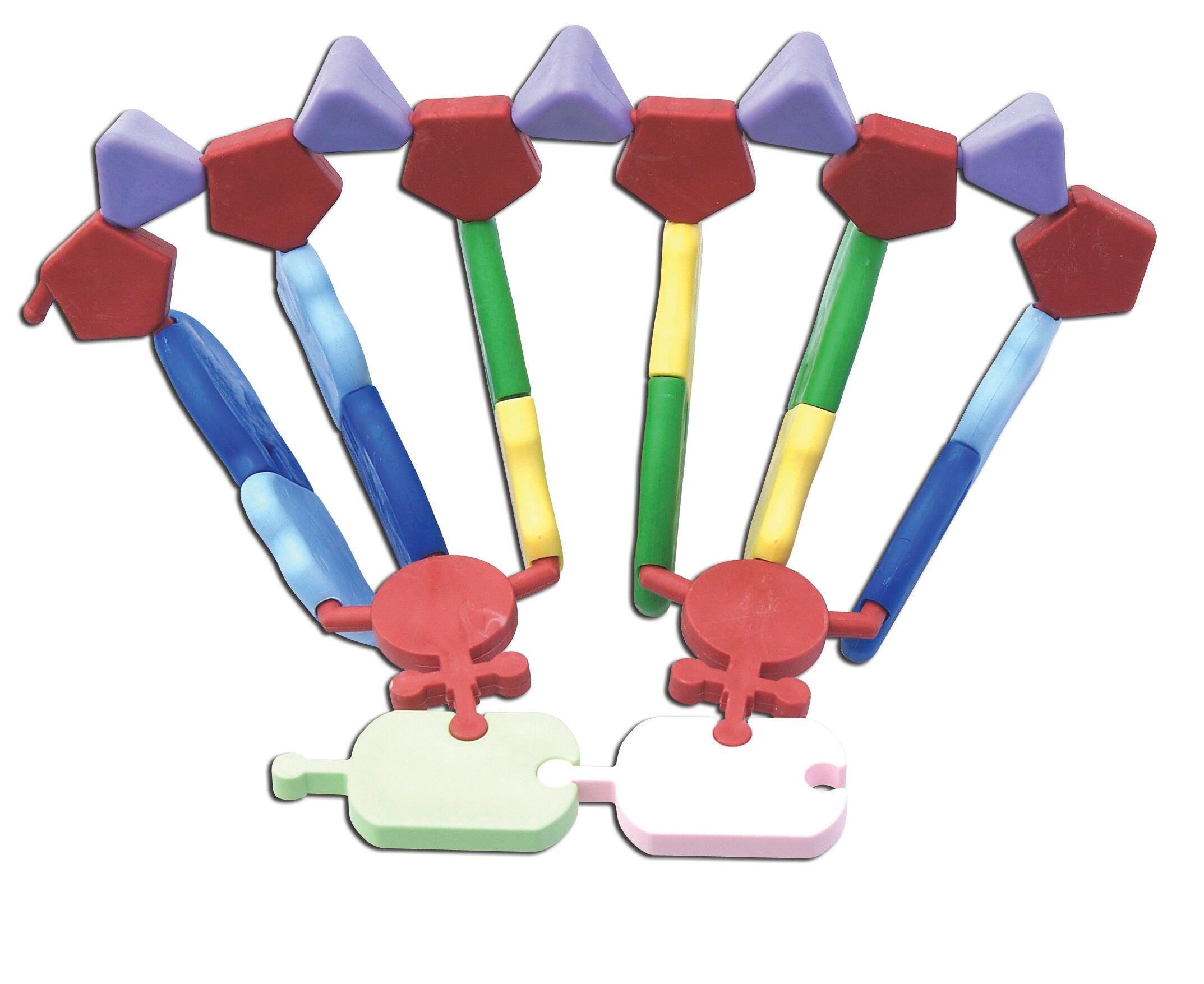 Lab and Anatomical Models, Item Number 528407