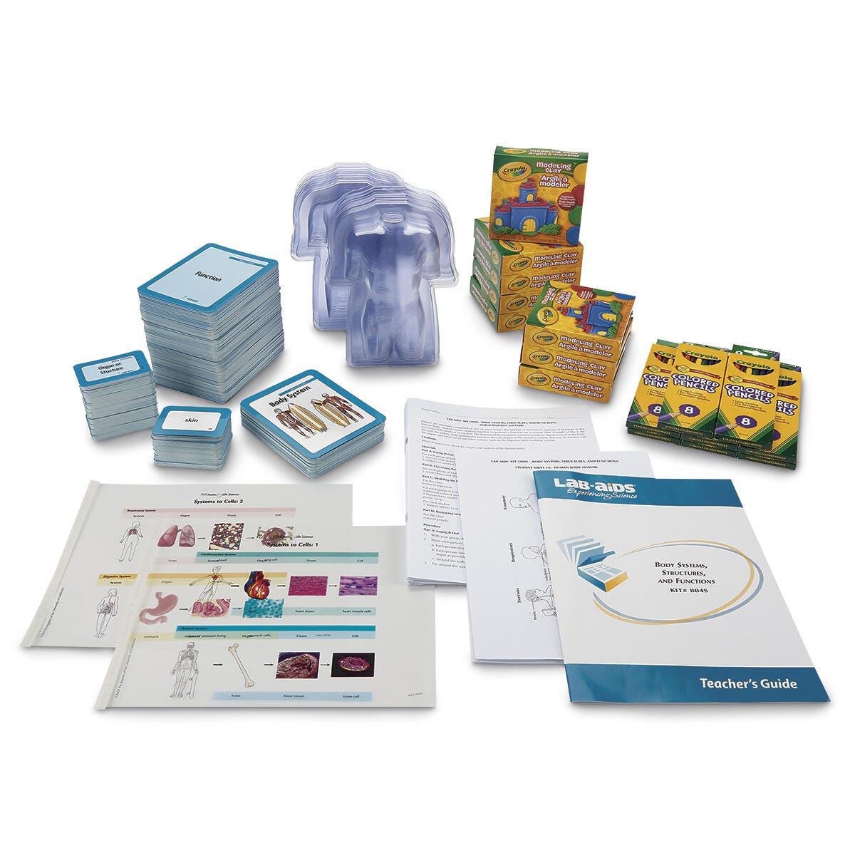 Image for Body Systems, Structures, and Functions from School Specialty