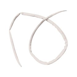 Frey Scientific Choice Preserved Roundworm, Pack of 10, Item Number 596331