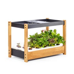 ANGLEIMAGES_FULLIMAGE