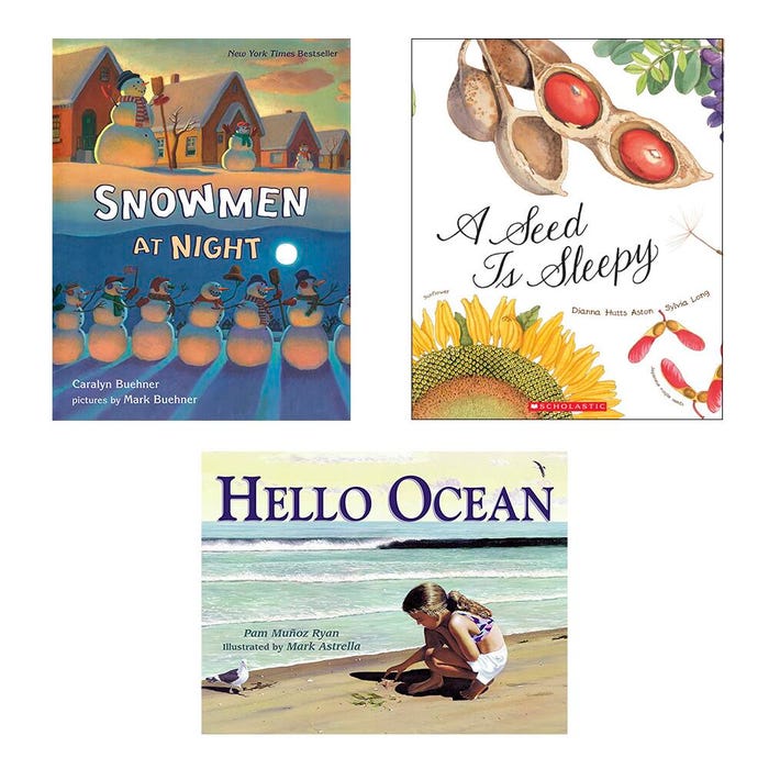 Achieve It! Reading Comprehension Strategies Book Set, Grade 1, Set of 30