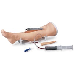 Adult Intraosseous Infusion Simulator