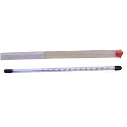 Delta Education Thermometer, 8 Inch, Glass