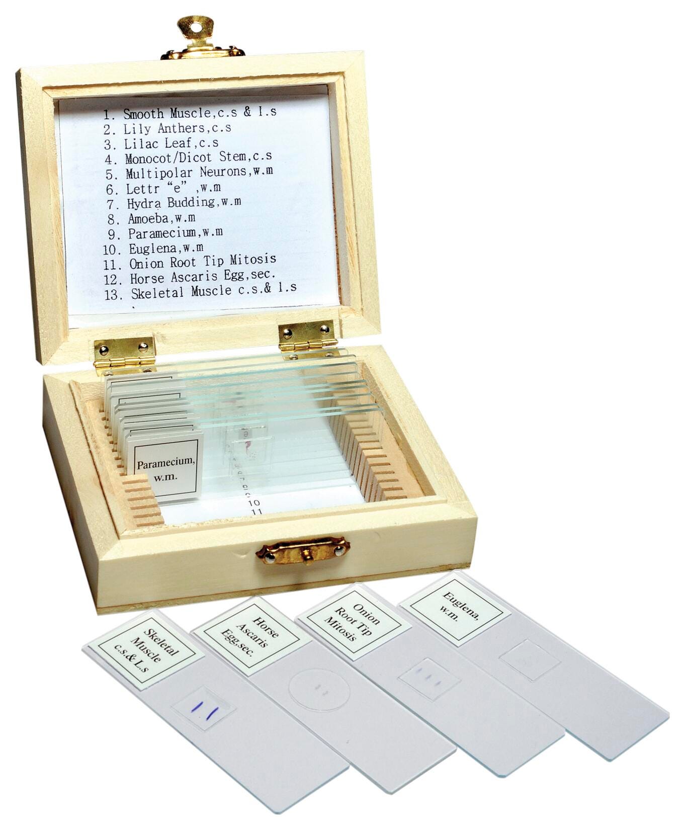 Science Survey Sets, Item Number 1501741