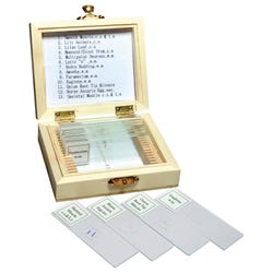 Science Survey Sets, Item Number 1501741