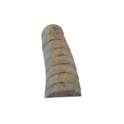 Delta Education Snail Fossil, Various, Pack of 8