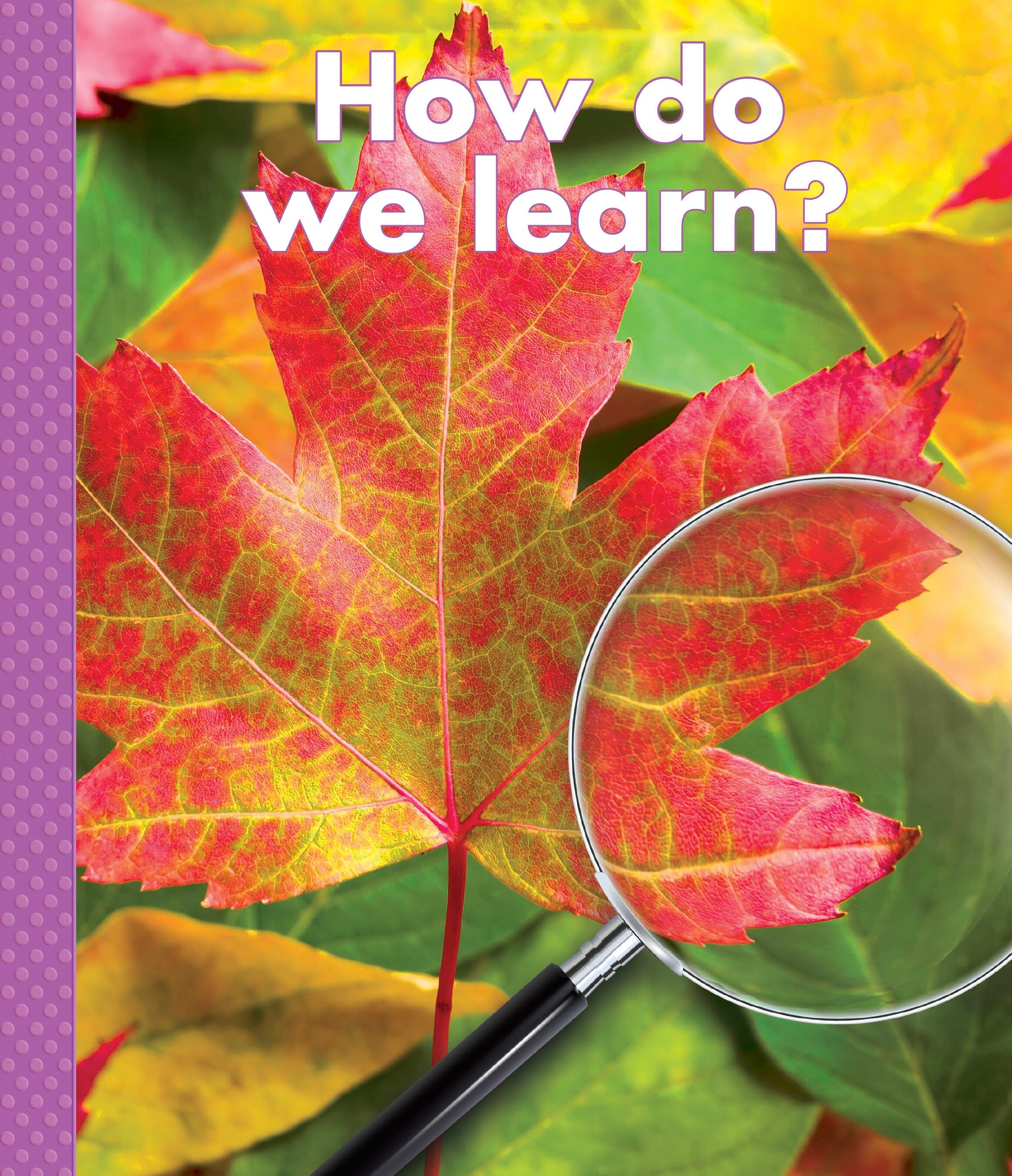  Item Number 538-6547